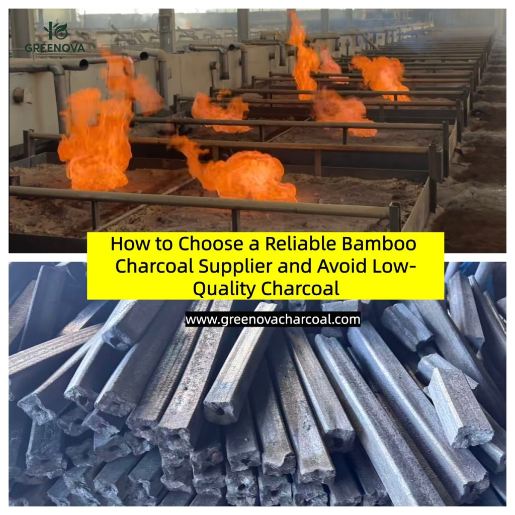 greenova bioenergy charcoal factory blog 33